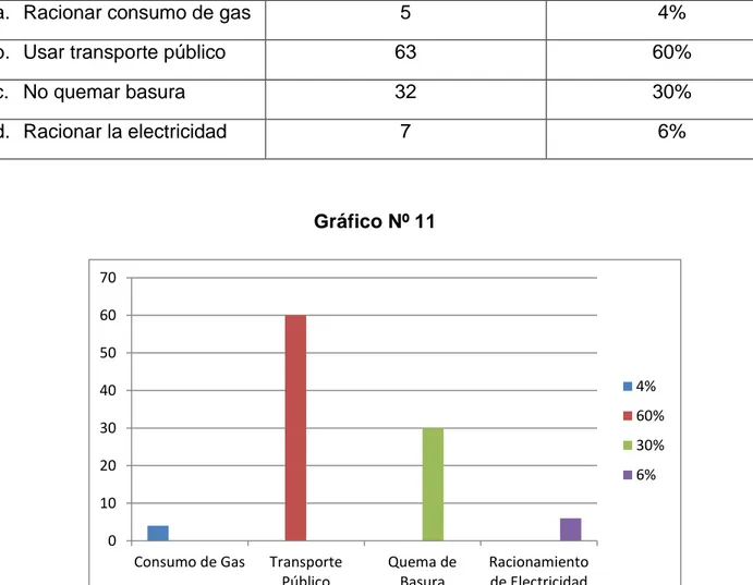 Gráfico Nº 11 