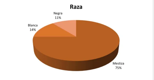 Ilustración 3 Distribución de los 240 pacientes con cáncer de próstata, en el  Hospital  Universitario de Guayaquil, año 2011- 2015, según: Raza