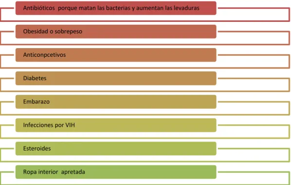 Figura 1: Causas de las infecciones por candidiasis 