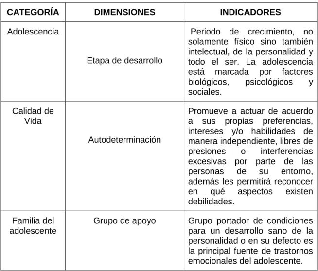 Cuadro 2  Adolescentes con Discapacidad Intelectual 
