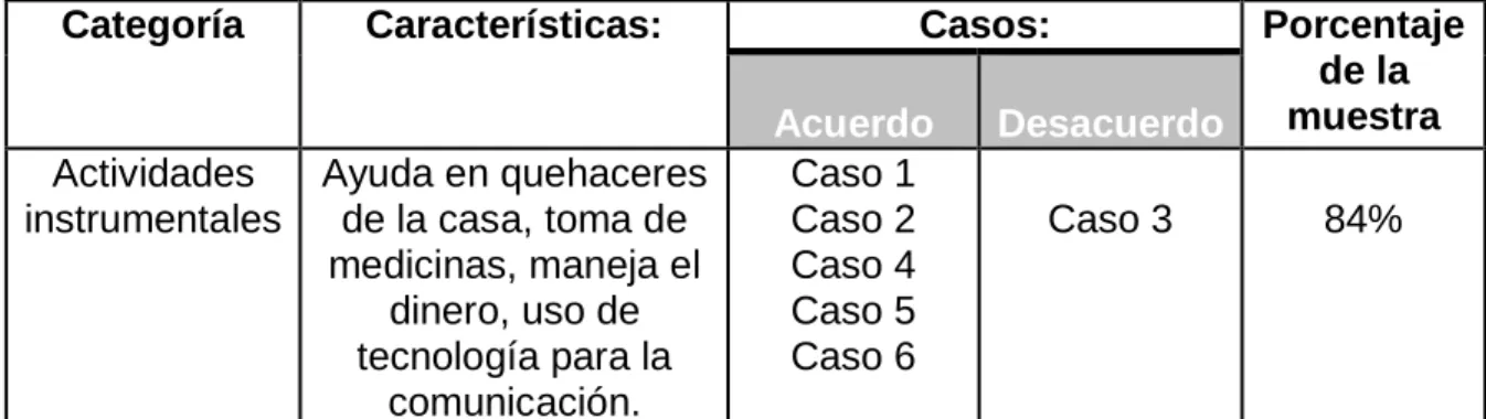 Cuadro 14    Actividades instrumentales 