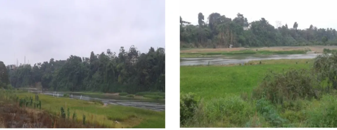 Figura 4.    Toma de muestra de agua superficial 