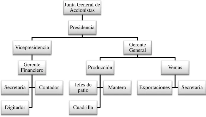 Figura 8. Estructura Organizacional Cofina 