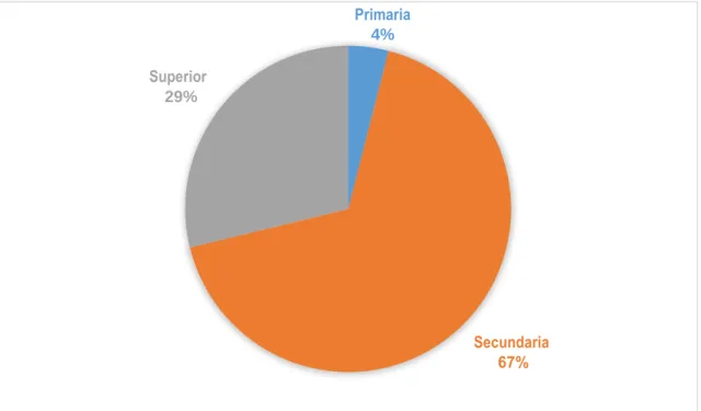 Gráfico 5. Escolaridad. 