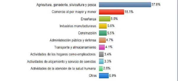 Figura 1: actividades comerciales de Babahoyo.  