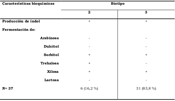 Table 1. Biotipes of 37 Pasteurella multocida isolates obtain from pigs lungs with pneumonia le-sions.