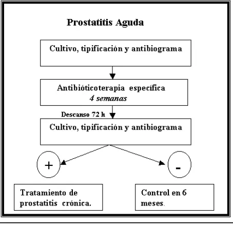 Figura 1. Algoritmo de lo pasos diagnósticos ytratamiento de la prostatitis aguda.Figure 1: Flow chart of diagnosis approach and treatmentof acute prostatitis