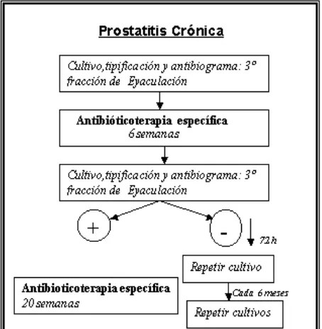 Figure 2 :Flow  chart of the diagnosis steps and treatmentof chronic prostatitis.