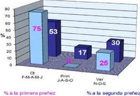 Figura 1. Distribución porcentual de servicios a la primera y segunda preñez.