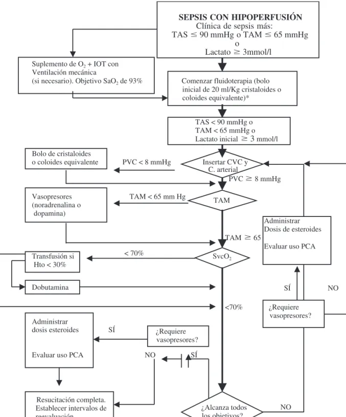 Figura 2. Algoritmo/secuencia de actuaciones para el manejo hemodinámico en la sepsis grave y el shock séptico.