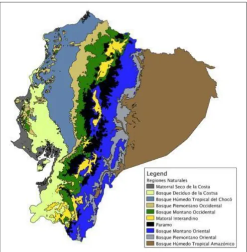 Figura 5: Mapa de las Regiones Naturales presentes en Ecuador. Fuente: http://zoologia.puce.edu.ec/ basado en la Propuesta  preliminar de un sistema de clasificación de vegetación para el Ecuador continental del Ministerio del Ambiente del Ecuador
