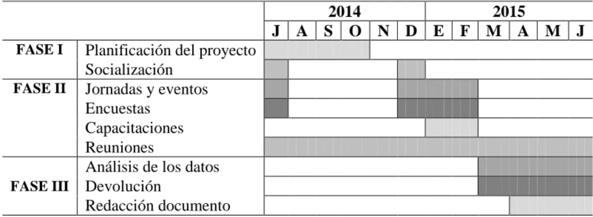 Figura 9: Cronograma del proyecto 