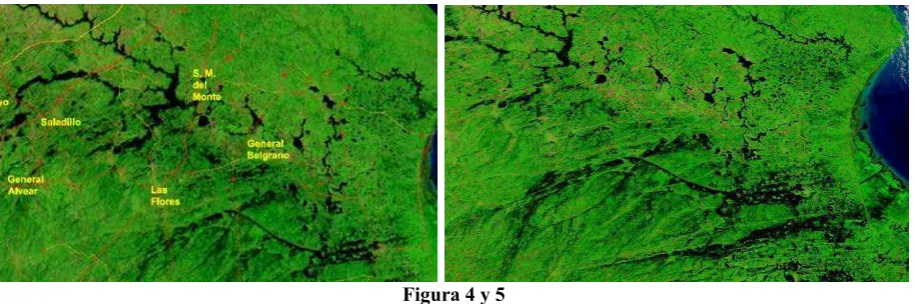 Figura 4 y 5