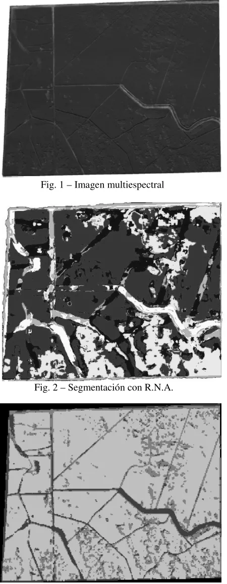Fig. 1 – Imagen multiespectral 