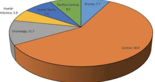 Gráfico 5 