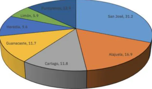 Gráfico 6 