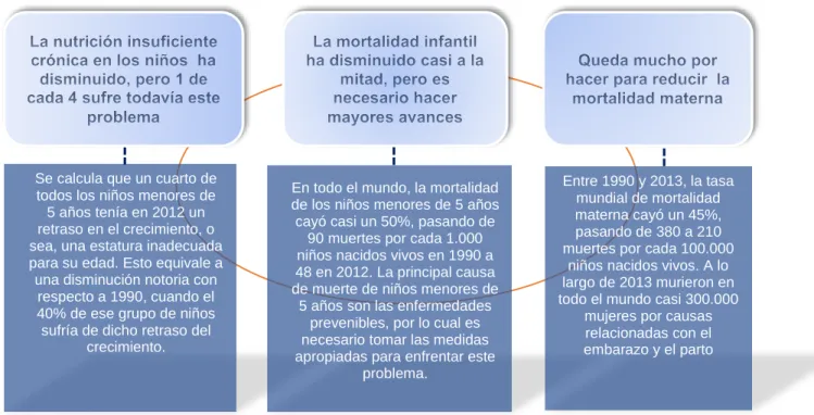 Figura 6: Resumen sobre ODM, 2014 