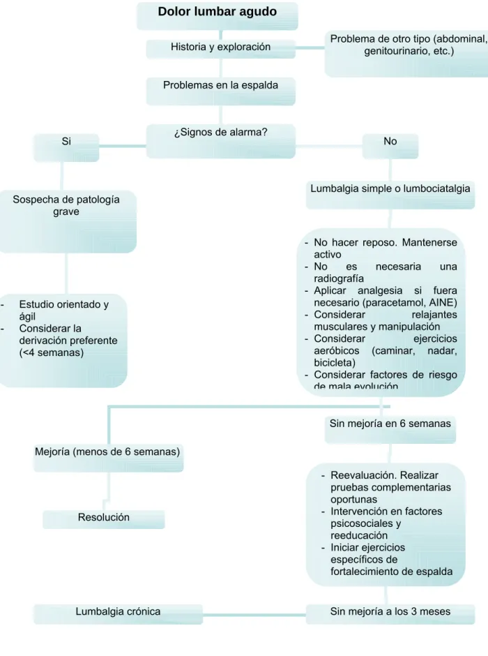 Tabla 8: Diagnóstico y tratamiento de la lumbalgia 