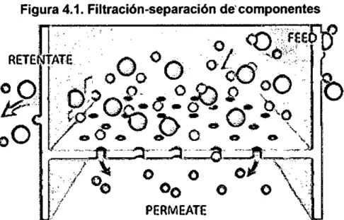 Figura 4.1. Filtración-separación de' componentes 