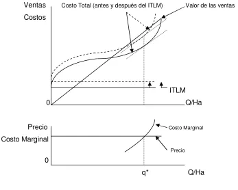Figura 4 – Efecto del ITLM 