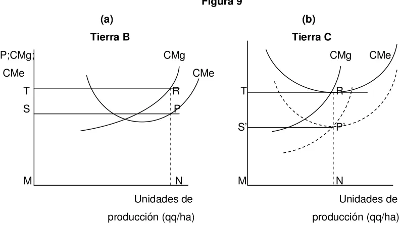 Figura 9 