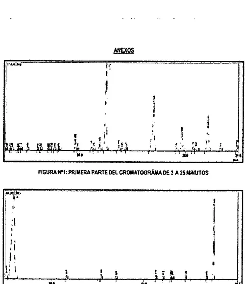 FIGURA 149: PRIMERA PARTE DEL CROMATOGRÁMA DE 3 A 25 MINUTOS 