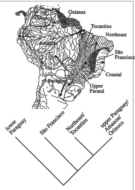 Fig. 5. Biogeografía histórica de Otocinclus. Modificado de Schaefer (1997).