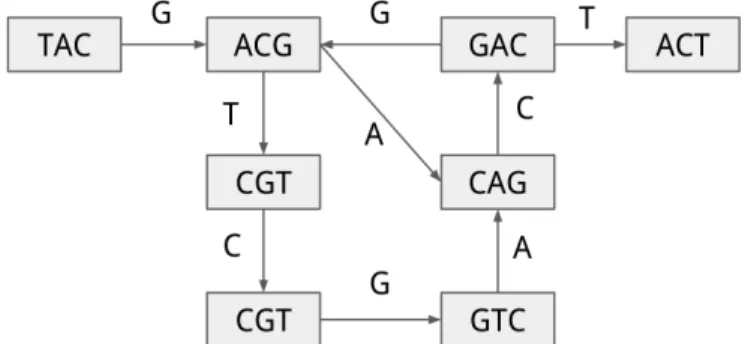 Figure 1: 3-mers de Bruijn graph for sequence TAC- TAC-GACGTCGACT.