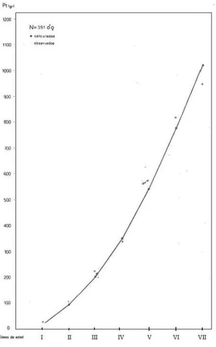 Fig. 2. � Curva del desarrollo del peso absoluto según clases de edad del pez palo