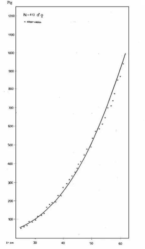 Fig. 3. � Representación gráfica de la relación entre largo y peso del pez palosegún P = 2,64 x 10 2 x L3,15