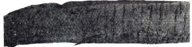 Fig. 3. -