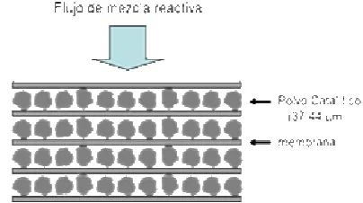 Figura 1. Esquema del MR con cuatro lechos 