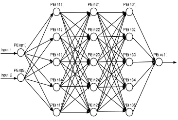 Figure 1) [13]. PEs are NN equivalents of biological 