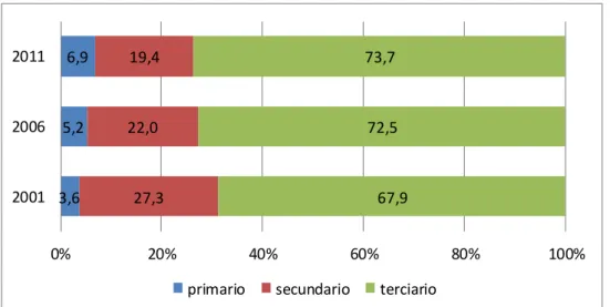 Gráfico 11 