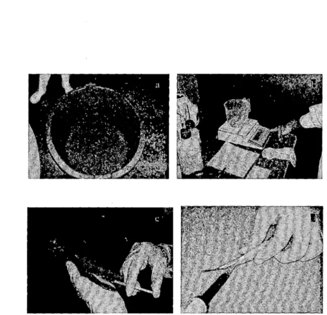 Foto 2. Inducción a la espermiación de E.  ringens. a) Adormecimiento de peces en solución de tricaina; b)  Determinación  de  peso  de  pez;  e)  Inyección  de  acetato  de  buserelina,  según  peso;  d)  Extracción  de  muestra de semen 12 h post-inyecci