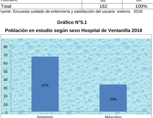 Gráfico N°5.1  