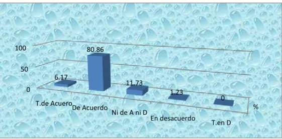 Gráfico N° 5.8  