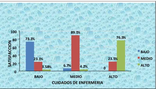 Gráfico N° 5.11  
