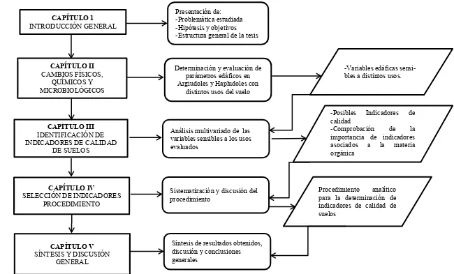 Figura 1. Estructura esquemática de la tesis. 