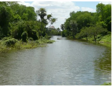 Figura 3. Fotografía del riacho “El Porteño”, a la altura de Misión Tacaaglé. 