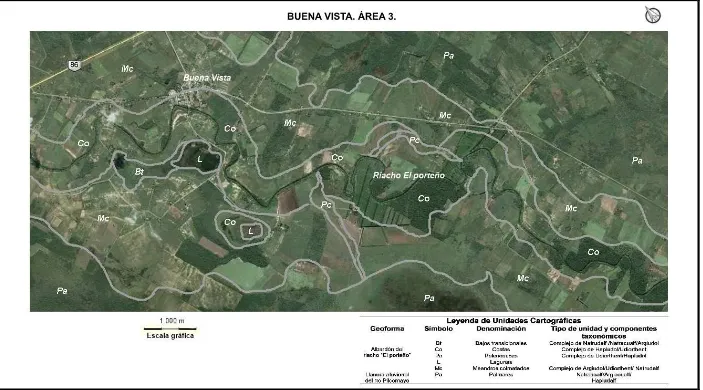 Figura 7. Zonificación edáfica del área 3, Buena Vista.