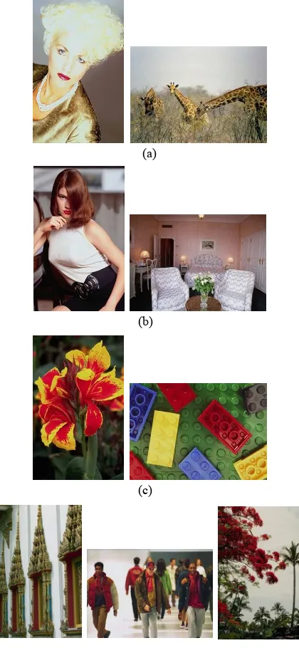 Figure 10: Some other image groups with similar color  