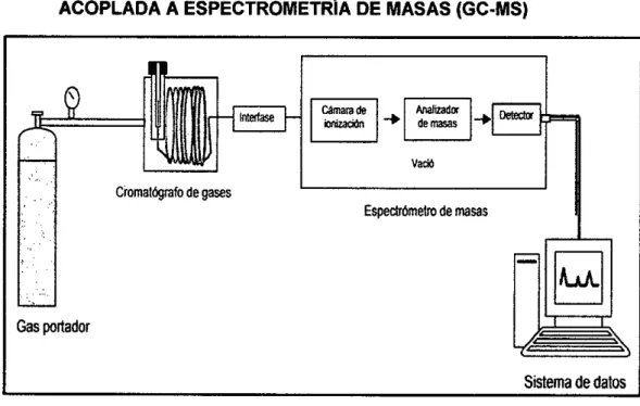 Figura 2.6: PRINCIPALES PARTES DE UN CROMATOGRAFO GASES  ACOPLADA A ESPECTROMETRIA DE MASAS (GC-MS) 