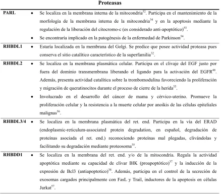 Tabla 3. Función, localización subcelular y enfermedades asociadas a los integrantes de la 