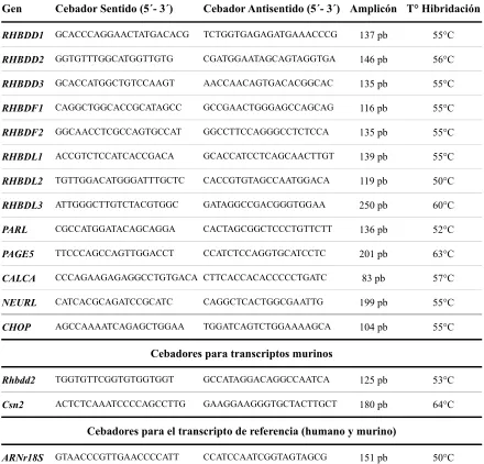 Tabla 4. Lista de cebadores humanos y murinos, utilizados en el estudio. 