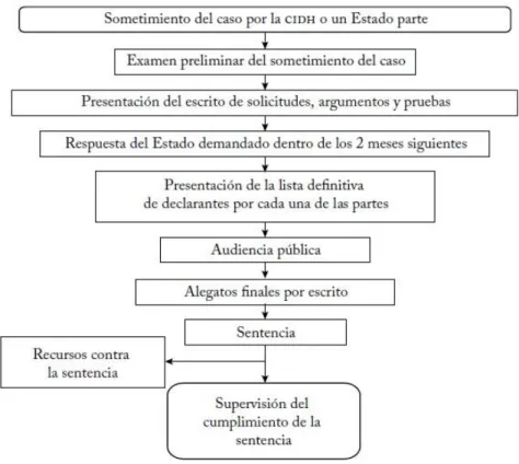 Figura 1. Procedimiento ante la Corte Interamericana de Derechos Humanos 