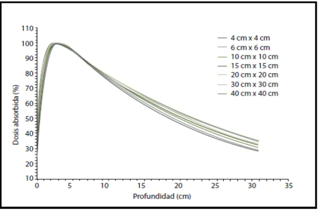 Fig.4.  PDD de haces de fotones de 15 MV para diferentes tamaño de campo a SSD=100cm. (Datos de ICO-SFMP)