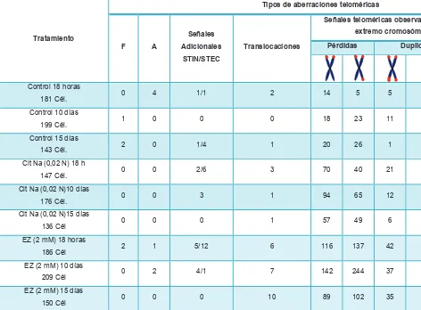 Tabla 11: Aberraciones teloméricas observadas en células ADIPO-P2 tratadas con EZ (2 Mm) y células control, luego del análisis de metafases a lPNA-FISH con sonda telomérica