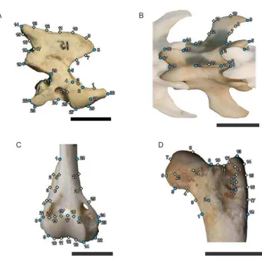 Figuras de Materiales y Métodos 