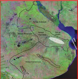 Figura 3.3: En el mapa se llanura Pampeana y se resalta indican las subregiones de la la zona de estudio.